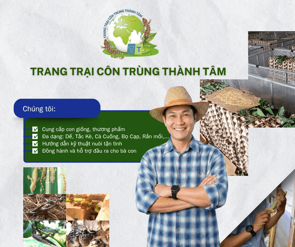 Tư Vấn Mô Hình Chăn Nuôi Côn Trùng & Động Vật Đặc Sản