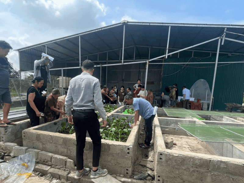 Tư Vấn Mô Hình Chăn Nuôi - Trang Trại Côn Trùng Thành Tâm