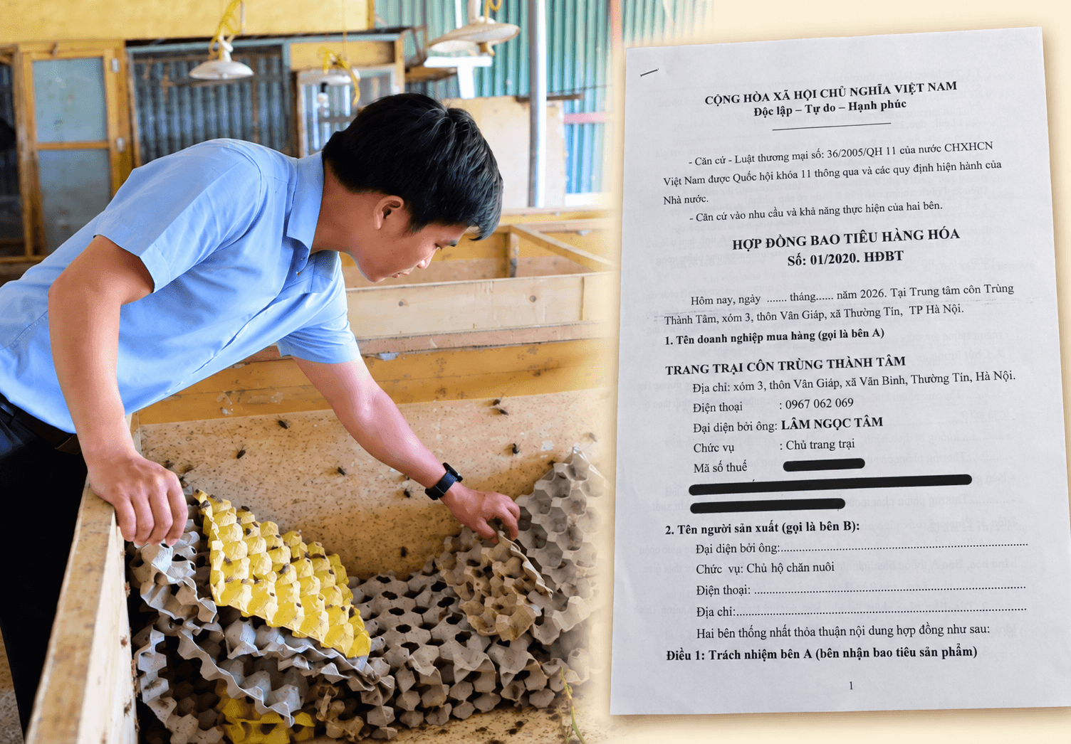 Bao Tiêu Thương Phẩm Đầu Ra - Trang Trại Côn Trùng Thành Tâm