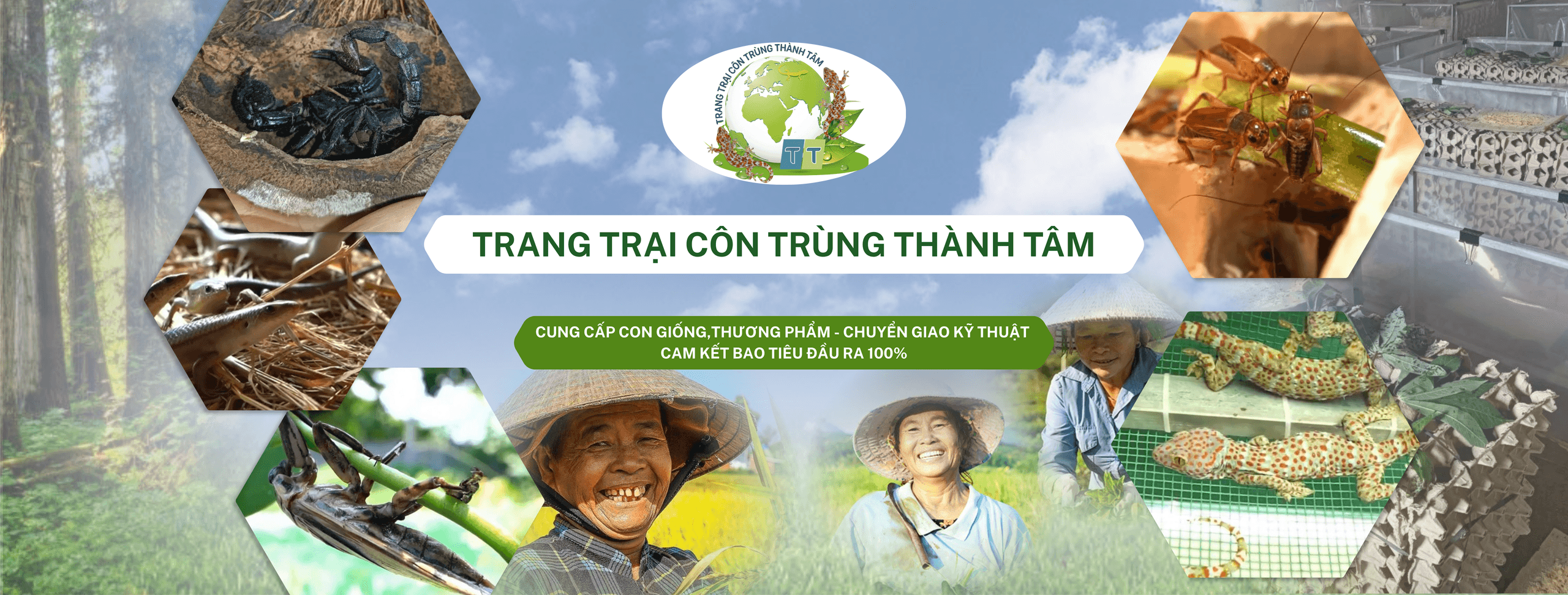 Giải Pháp Nông Nghiệp Sinh Học Bền Vững 2026