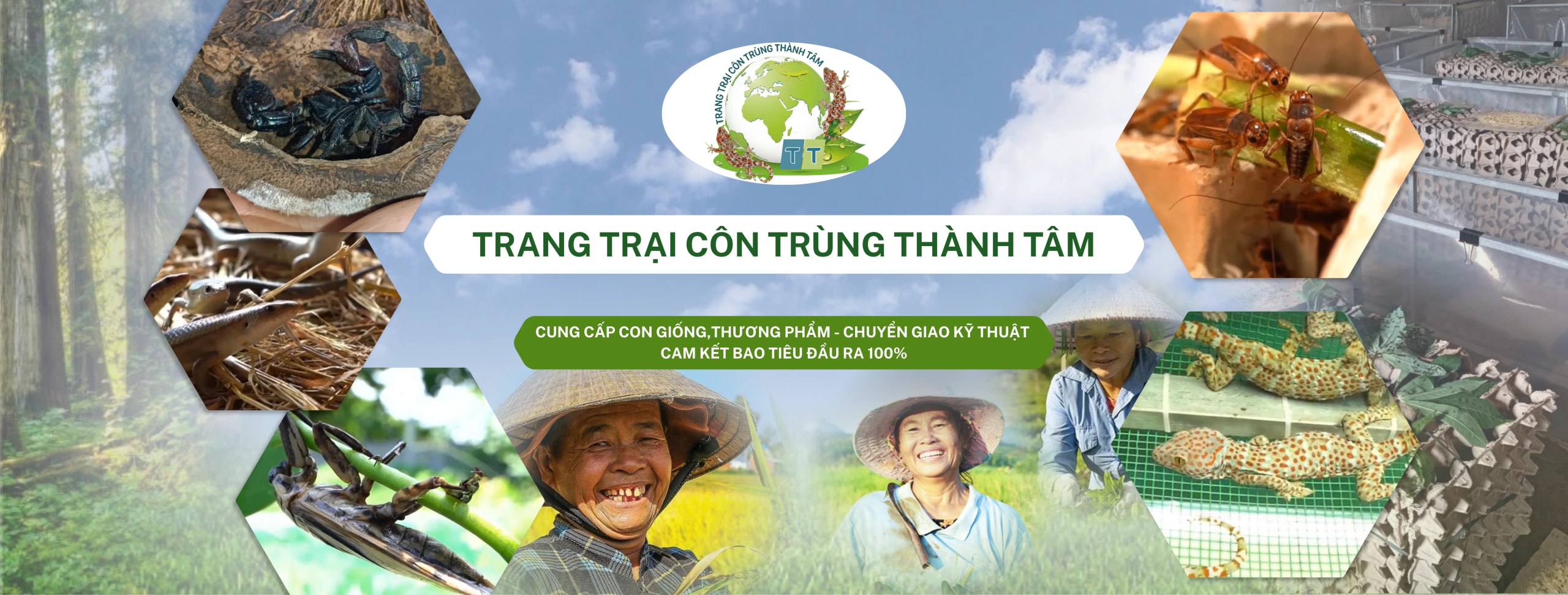 Giải Pháp Nông Nghiệp Sinh Học Bền Vững 2026